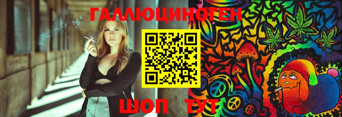 Галлюциногенные грибы Psilocybe Новокубанск