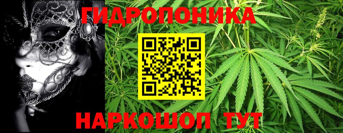 Новокубанск  Канабис OG Kush  Конопля сатива  Марихуана планчик  Каннабис AK-47  Вход с VPN 