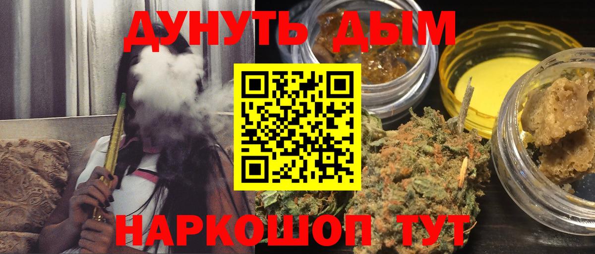 Конопля семена Новокубанск